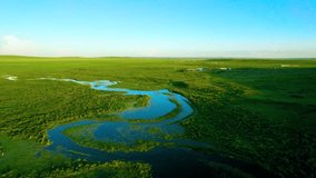 Slow Motion Capture of Fish Darting in Shallow Eddies - Powered by Shutterstock - Get 15% off with code: PIKWIZARD15