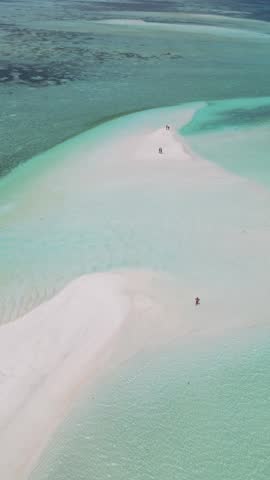 Shutterstock Video