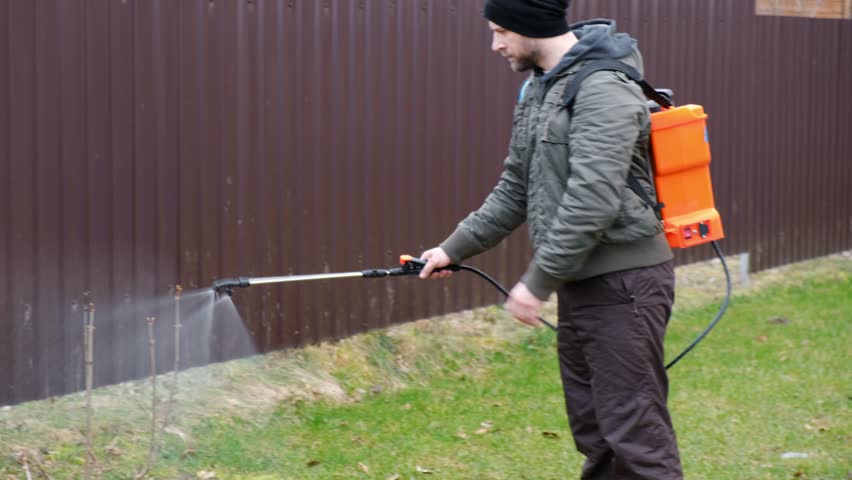 Worker spraying pesticide on a backyard for pest control, close-up, handles bushes. Gardening care work season. Early spring treatment of fruit trees, fungicide. Protecting the garden from diseases.
