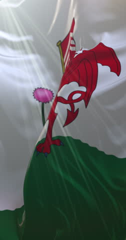 Flag of the welsh city of Cardiff in Wales. Loop. 4K Vertical