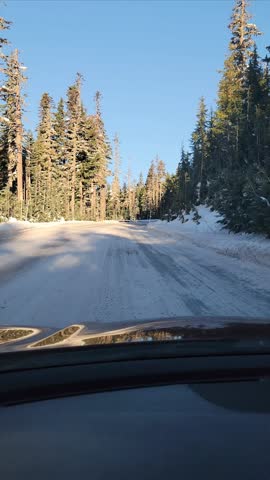 4K vertical high resolution mobile video of driving on a frozen forest road toward Timberline Lodge in Oregon during late fall, with Mount Hood summit peeking through snowy trees