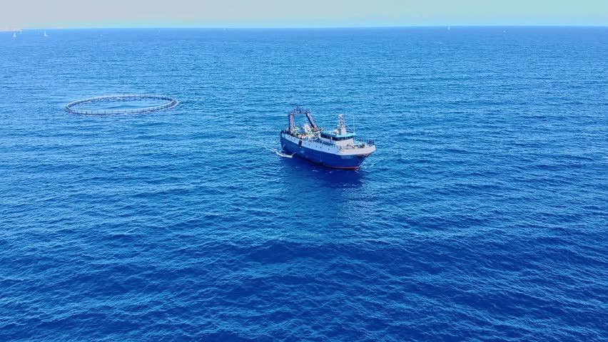 Aerial view of vibrant maltese fishing boat navigating open blue waters