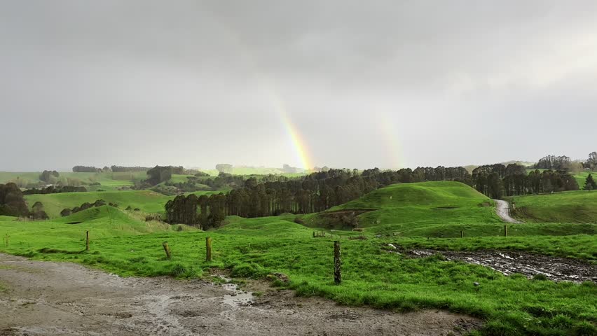 Stunning double rainbow illuminating a lush green field with a grazing cow, capturing the serene beauty of the countryside after a refreshing rain