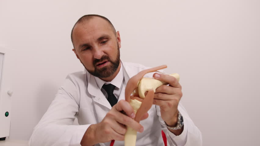 model knee, human skeleton, medical concept. Healthcare provider uses detailed anatomical model to explain structure knee joint in clinical environment.
