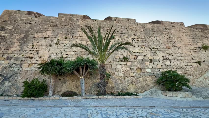 A stunning view of ancient stone walls with palm trees, showcasing the beauty of historical architecture.