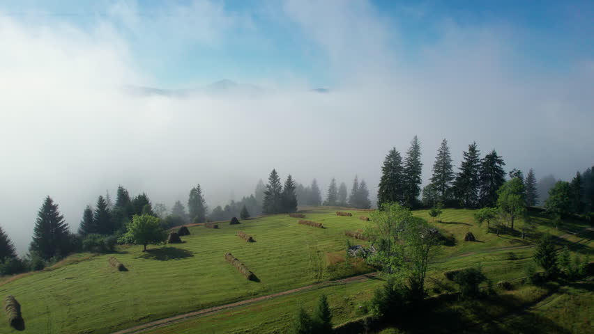 Stunning aerial view of mountain landscape blanketed in lush greenery and towering trees. Mist rolls partially obscuring scene and adding ethereal, dreamlike quality.