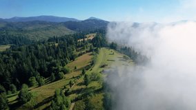 Stunning aerial view of mountain landscape blanketed in lush greenery and towering trees. Mist rolls partially obscuring scene and adding ethereal, dreamlike quality. - Powered by Shutterstock - Get 15% off with code: PIKWIZARD15