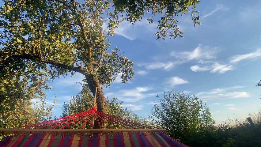 POV from Hammock Swinging Under Apple Tree – Relaxing Summer Sunset Vibes in Nature
