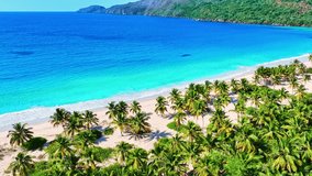 Palm sand beach on the summer idyllic coast of the Dominican island. Summer vacation. Sea cruise. Turquoise ocean water and bright blue sky on a sunny day - a beautiful seascape, drone view. - Powered by Shutterstock - Get 15% off with code: PIKWIZARD15