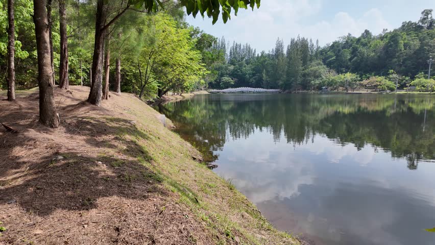 Lake in a park in Asia