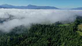 Stunning aerial view of mountain landscape blanketed in lush greenery and towering trees. Mist rolls partially obscuring scene and adding ethereal, dreamlike quality. - Powered by Shutterstock - Get 15% off with code: PIKWIZARD15