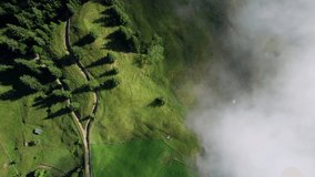 Aerial view of winding path cutting through lush green landscape, partially shrouded in layer of mist. Sunlight creates distinct shadows, enhancing depth and texture of dense forest and open fields. - Powered by Shutterstock - Get 15% off with code: PIKWIZARD15