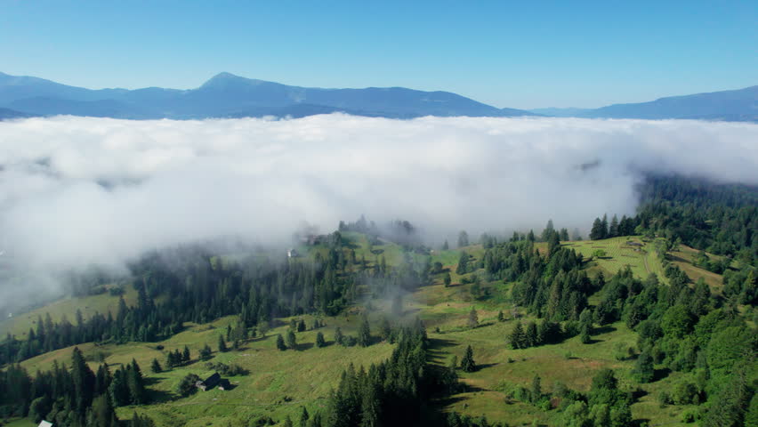 Stunning aerial view of mountain landscape blanketed in lush greenery and towering trees. Mist rolls partially obscuring scene and adding ethereal, dreamlike quality.