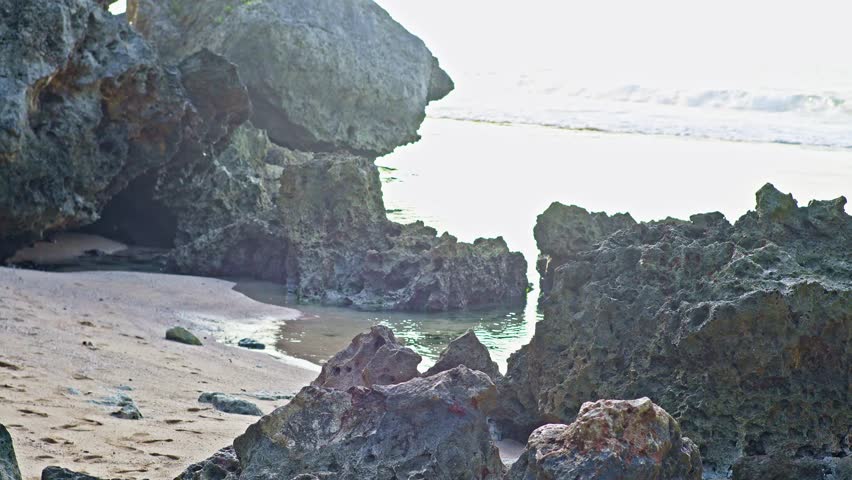 Rocky Coral on Seashore with Ocean Waves in the Background