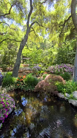 a gorgeous spring landscape with a pond, lush green trees and flowers at Descanso Gardens La Cañada Flintridge California USA