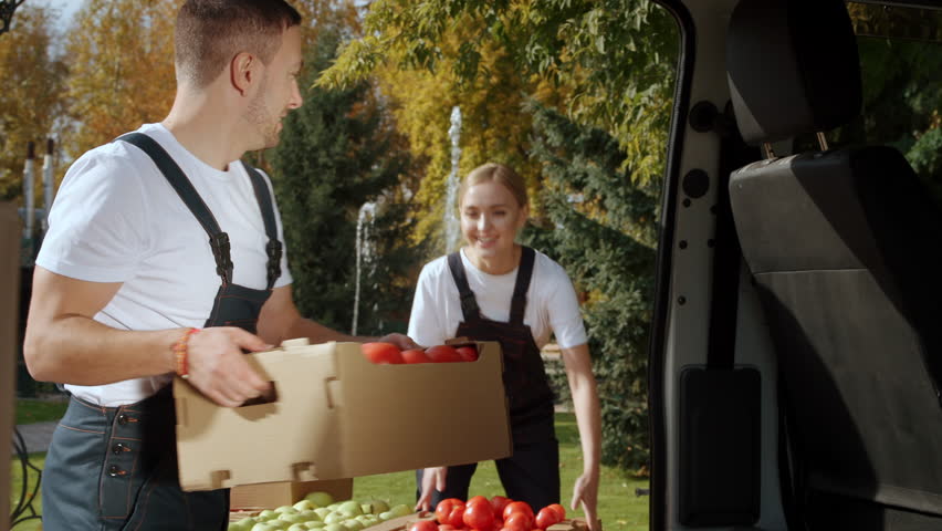 Delivering of organic fresh homegrown produce from garden. Workers unloading boxes of healthy eco products from farmer to grocery for sale. Transport services for retail and wholesale.
