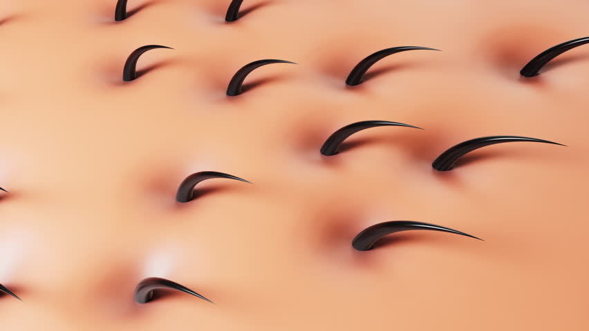 Skin with hair in pores, hair treatment concept, 3d rendering. Motion graphic.