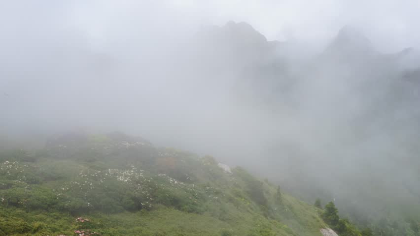 Misty Mountain Landscape, Foggy Peaks, Green Vegetation