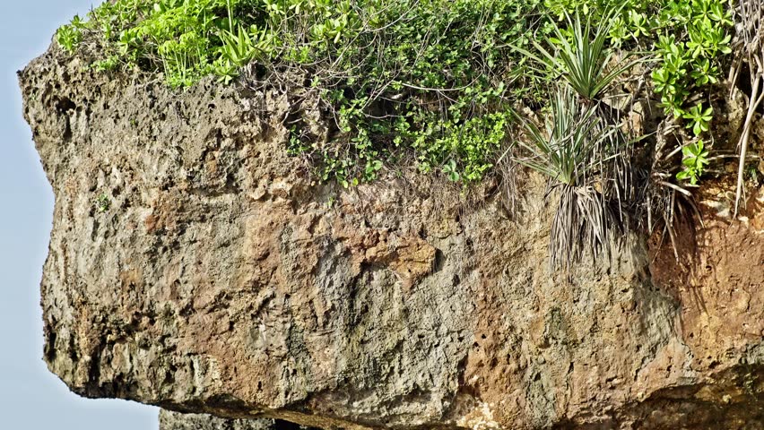 Massive Coral Rock Formation with Ocean Background on Tropical Coastline
