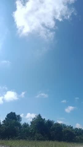 Clear Blue Sky with Soft Clouds Over a Green Forest Landscape