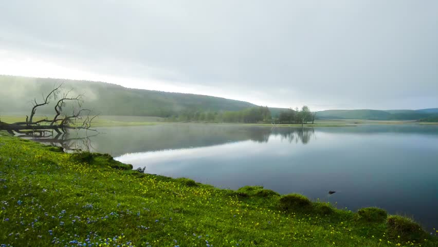Serene Misty Lake Landscape with Grassy Shore