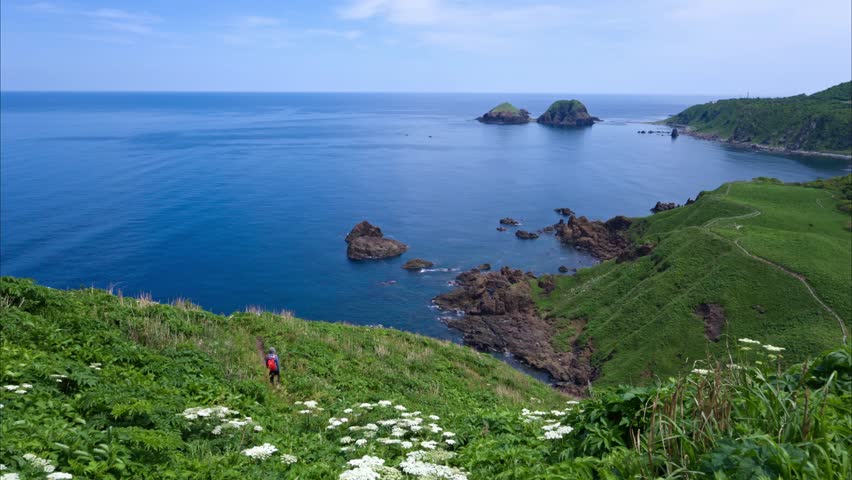 Serene Coastal Landscape with Lush Green Hills and Ocean Vistas