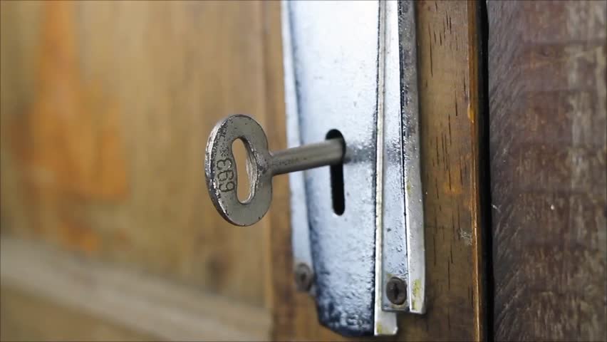 Shutterstock Video
