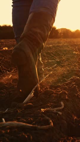 Farmer in boots walks across the field. close-up. legs in farming boots. freshly plowed agricultural field. at sunset. backlit. Bottom view