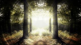 Magical Portal In Fantasy Forest Video - Powered by Shutterstock - Get 15% off with code: PIKWIZARD15
