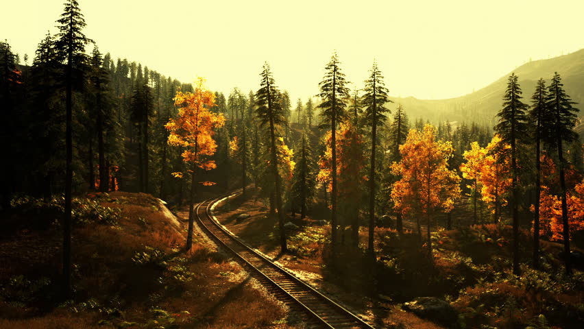 A peaceful autumn evening showcases colorful foliage along a winding railroad track surrounded by lush green trees, highlighting the tranquility of nature at dusk.