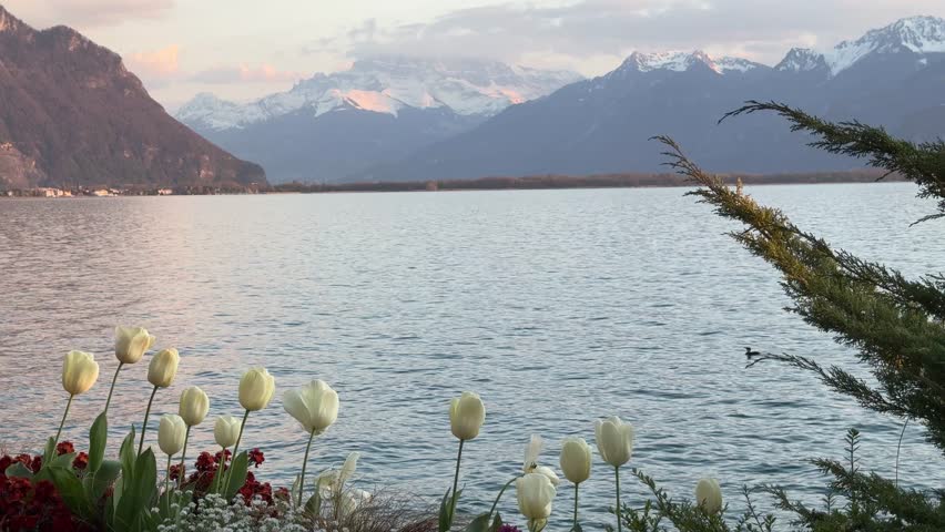 Sunset at the lake Geneva, view of the mountains and Mont Blanc, taken from Montreux, Switzerland