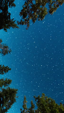 Night sky star trail above treetops. Vertical design in 9:16 ratio. Smartphone and social media