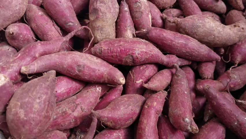 A collection of freshly harvested sweet potatoes placed in a woven bamboo basket, showcasing their natural texture and earthy color under bright sunlight. Perfect for themes on agriculture, food, and 