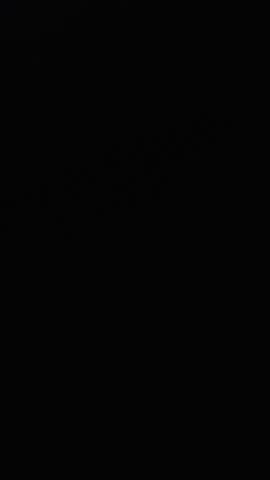 Vertical Light Burns flash transition overlay effect. Light Leaks. High quality 4k footage