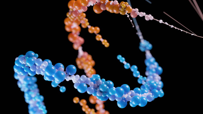 DNA double helix structure on black background. Conceptual design of genetic information for science animation. multicolored Dna molecule. DNA molecules in chromosomes. science, biology. - Powered by Shutterstock - Get 15% off with code: PIKWIZARD15