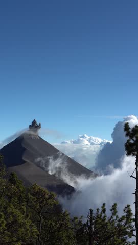 A powerful view of Volcano de Fuego erupting in Guatemala, with smoke and ash clouds rising above treetops under a dramatic sky