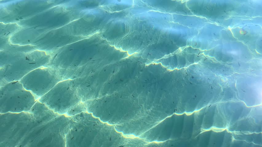 A serene underwater view, captured horizontally, showcasing the natural beauty of clear, calm waters as they reflect light.