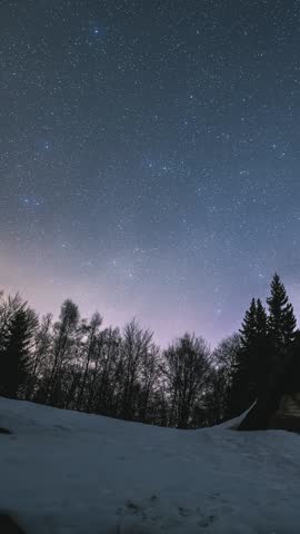 Vertical panorama of starry night sky over forest and wooden cabin hidden in peaceful winter night, Astronomy Time lapse