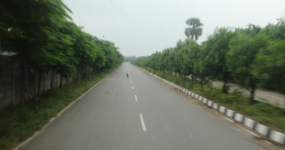 Rural area Tar Road and trees