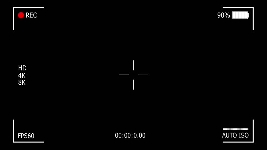 Shutterstock Video