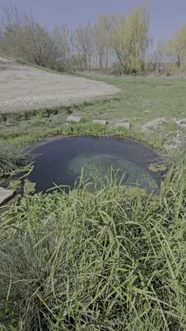 A pond in a grassy area