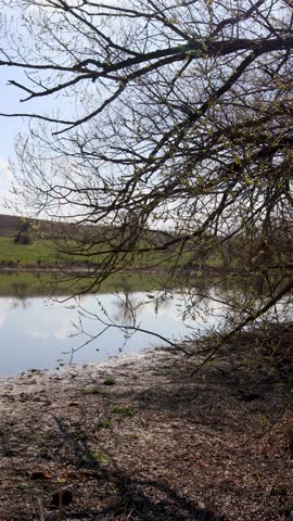 Gentle spring landscape mirroring water surface beneath overcast skies