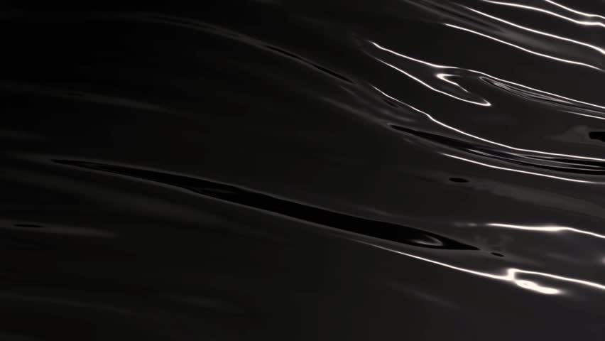 Shutterstock Video