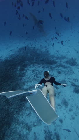 Sexy woman dives underwater with nurse sharks in blue ocean