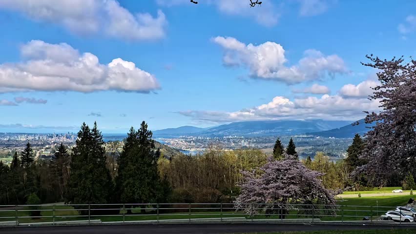 A timelapse of Burnaby Mountain Park in cherry blossom season.   BC Canada
