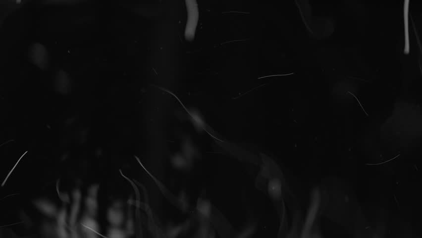 Particle trails flow with smooth energy. Glowing lines curve in abstract motion. trail fx, glowing path, curve animation, energy particle motion
