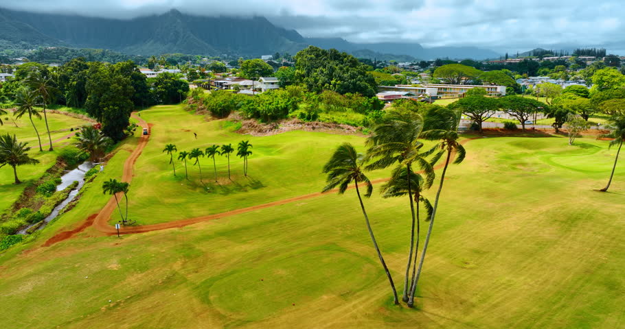 Lonely man playing golf on the picturesque lawns with palm trees. Scenic view of Hawaii, USA from drone footage.