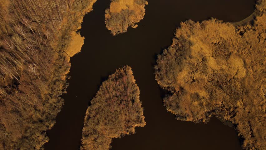 Drone image of a large lake surrounded by autumn forests, dry reeds, and farmlands under a clear sky.