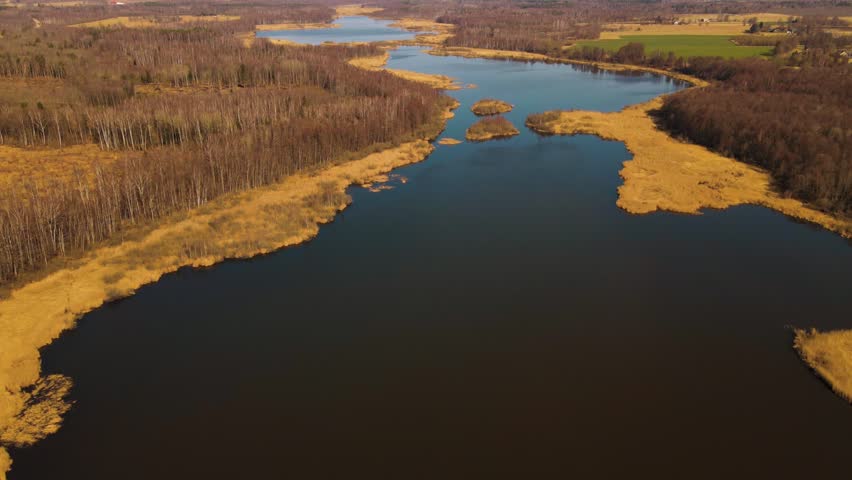 Drone image of a large lake surrounded by autumn forests, dry reeds, and farmlands under a clear sky.