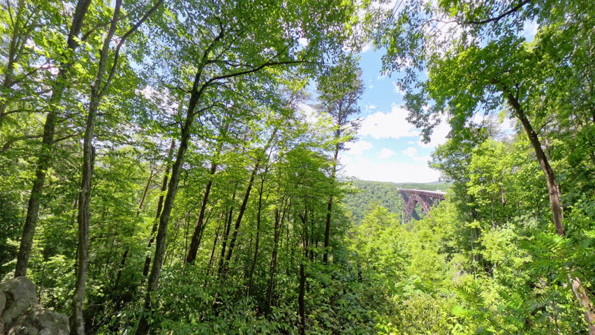 Panning and Zooming in on New River Gorge National Park